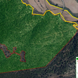 Finca rustica en Paterna del Madera-Bogarra de Albacete 300.000€